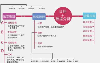 视频策划设计方案[一个完整的短视频策划方案]