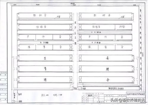 养猪规划设计方案[养猪规划设计方案怎么写]